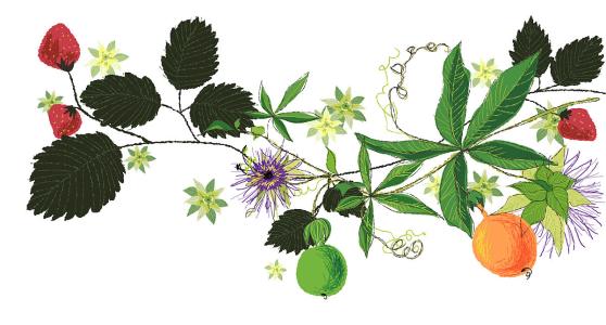 ȫȷ79232555 ֱ¹ڲȾ